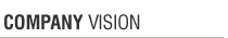 company vision